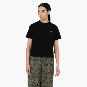 Women's Oakport Cropped T-Shirt